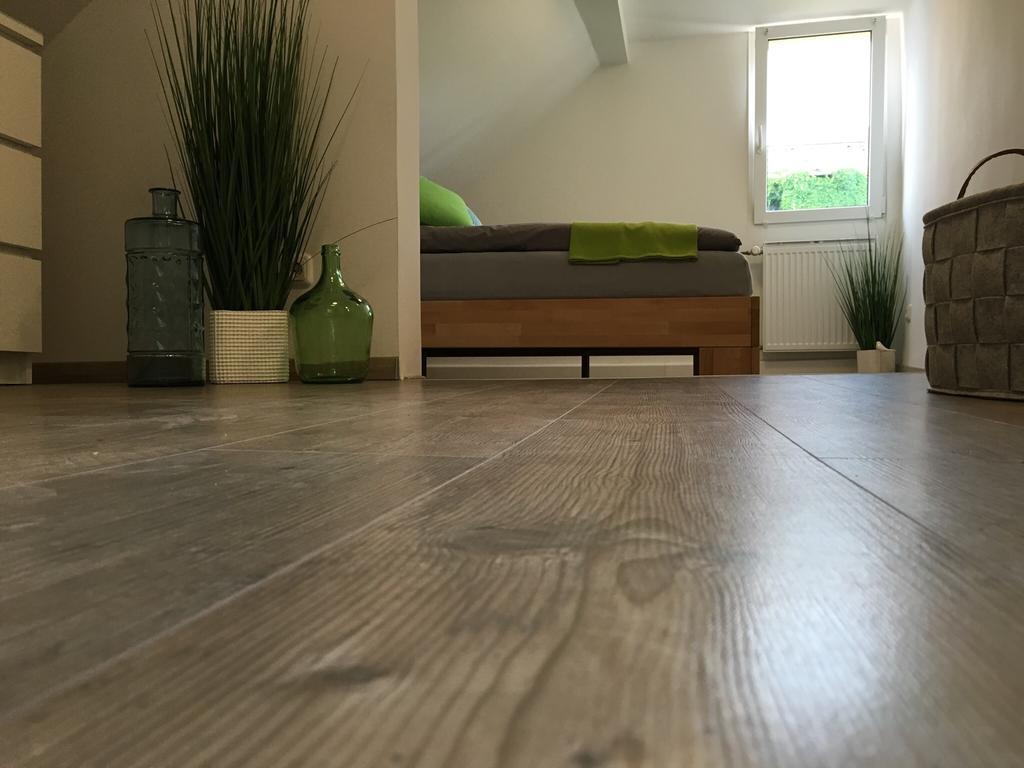 Ferienhaus Zur Mainpforte Mainz Bagian luar foto