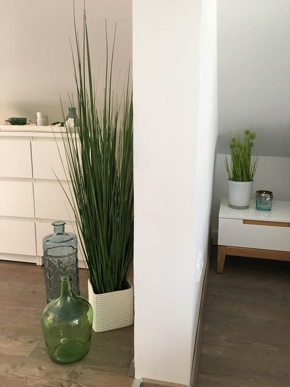 Ferienhaus Zur Mainpforte Mainz Bagian luar foto
