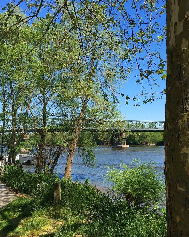 Ferienhaus Zur Mainpforte Mainz Bagian luar foto