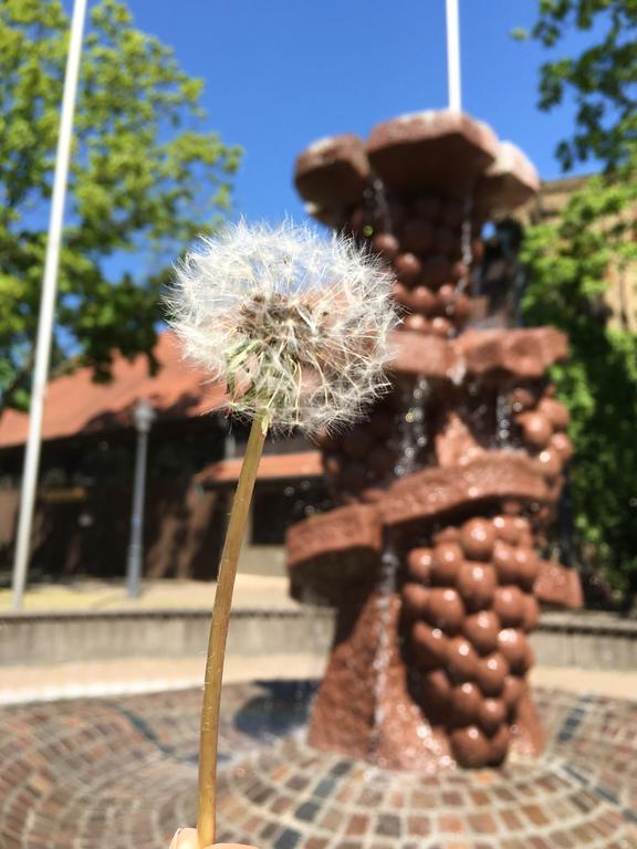 Ferienhaus Zur Mainpforte Mainz Bagian luar foto