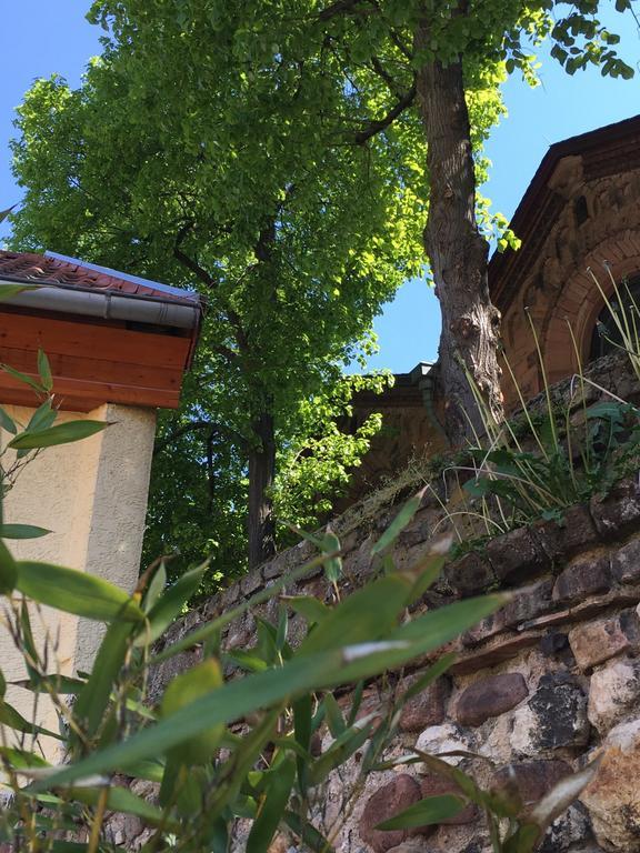 Ferienhaus Zur Mainpforte Mainz Bagian luar foto