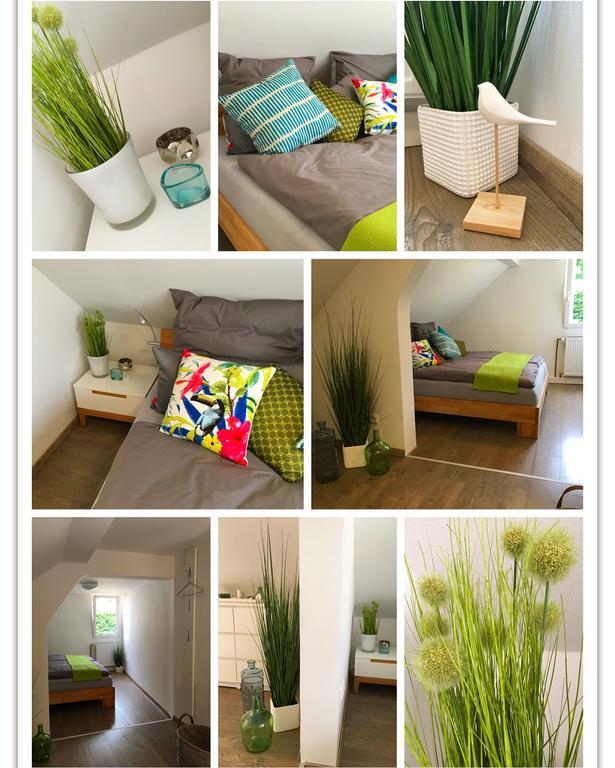Ferienhaus Zur Mainpforte Mainz Bagian luar foto