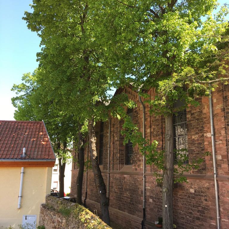 Ferienhaus Zur Mainpforte Mainz Bagian luar foto